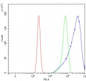 TMEM87A Antibody U-2 OS Cell FACS. Flow cytometric analysis of fixed and permeabilized human U-2 OS cells using TMEM87A Antibody / Transmembrane Protein 87A Antibody at 1 ug/million cells following blocking with goat sera. The red histogram represents unstained cells, the green histogram the isotype control, and the blue histogram TMEM87A antibody staining. A pronounced rightward shift of the TMEM87A-stained population demonstrates specific detection of endogenous TMEM87A expression. This TMEM87A Antibody, also called Transmembrane Protein 87A Antibody, is suitable for studies of membrane protein expression, intracellular trafficking, cellular signaling, and flow cytometric analysis of TMEM87A.