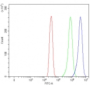 PNPLA6 Antibody for FACS. Flow cytometry analysis in human SiHa cells. Fixed and permeabilized human SiHa cells were stained with PNPLA6 antibody at 1 ug per million cells following blocking with goat sera. Red histogram represents unstained cells, green indicates isotype control, and blue shows PNPLA6 antibody staining with a clear rightward shift, demonstrating specific detection of Patatin-like phospholipase domain-containing protein 6 / PNPLA6. This result supports intracellular expression of PNPLA6 consistent with its role in phospholipid metabolism and neuronal-associated signaling pathways.
