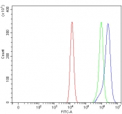 Flow cytometry testing of fixed and permeabilized human HEL cells with PRRG1/TMG1 antibody at 1ug/million cells (blocked with goat sera); Red=cells alone, Green=isotype control, Blue= PRRG1/TMG1 antibody.