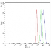 Flow cytometry testing of fixed and permeabilized human JK cells with CBP80 antibody at 1ug/million cells (blocked with goat sera); Red=cells alone, Green=isotype control, Blue= CBP80 antibody.