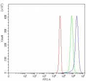 PSME1 Antibody U937 Cell Flow Cytometry. Flow cytometric analysis of fixed and permeabilized human U937 cells stained with PSME1 antibody at 1 ug per million cells following goat serum blocking. Red: cells alone. Green: isotype control. Blue: PSME1 antibody. The clear rightward shift of the PSME1 antibody histogram relative to the isotype control demonstrates specific intracellular detection of this immunoproteasome activator, which plays a central role in proteasome-mediated antigen processing and Major Histocompatibility Complex class I peptide presentation.