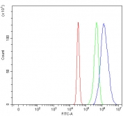 Flow cytometry testing of fixed and permeabilized human HepG2 cells with TP53BP1 antibody at 1ug/million cells (blocked with goat sera); Red=cells alone, Green=isotype control, Blue= TP53BP1 antibody.