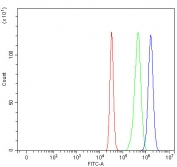 Flow cytometry testing of fixed and permeabilized human HepG2 cells with NEK6 antibody at 1ug/million cells (blocked with goat sera); Red=cells alone, Green=isotype control, Blue= NEK6 antibody.