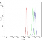 Flow cytometry testing of fixed and permeabilized human HepG2 cells with AADACL1 antibody at 1ug/million cells (blocked with goat sera); Red=cells alone, Green=isotype control, Blue= AADACL1 antibody.