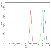 Flow cytometry testing of fixed and permeabilized human K562 cells with Atherin antibody at 1ug/million cells (blocked with goat sera); Red=cells alone, Green=isotype control, Blue= Atherin antibody.