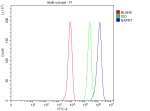 NAPRT Antibody HepG2 Cell FACS. Flow cytometry analysis of NAPRT Antibody / NAD Salvage Pathway Enzyme Antibody in fixed and permeabilized HepG2 cells. Cells were stained with NAPRT antibody at 1 ug/10^6 cells, followed by a Fluoro488-conjugated secondary antibody. The blue histogram represents NAPRT staining, the green histogram is the rabbit IgG isotype control and the red histogram is the unstained control. A clear rightward shift of the NAPRT signal relative to both controls demonstrates specific intracellular detection of endogenous NAPRT. This NAPRT Antibody, a NAD Salvage Pathway Enzyme Antibody, is suitable for flow cytometric analysis of NAD biosynthesis and metabolic enzyme expression.