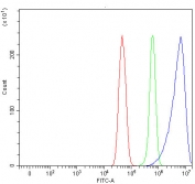 Flow cytometry testing of fixed and permeabilized human U-251 cells with PRRC1 antibody at 1ug/million cells (blocked with goat sera); Red=cells alone, Green=isotype control, Blue= PRRC1 antibody.