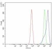 C7orf47 Antibody K562 Cell FACS. Flow cytometry analysis of fixed and permeabilized human K562 cells using C7orf47 Antibody (PPP1R35 antibody) shows a clear rightward shift of the blue histogram relative to the isotype control (green) and unstained cells (red), indicating detection of PPP1R35 / C7orf47 expression. The intracellular signal distribution supports specific antibody binding to this protein phosphatase regulatory factor involved in phosphorylation-dependent cellular processes.