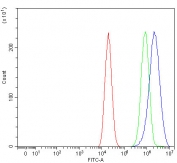 NR5A2 Antibody Caco-2 FACS. Flow cytometry analysis of fixed and permeabilized human Caco-2 cells using NR5A2 antibody demonstrates a pronounced rightward fluorescence shift relative to isotype control, supporting intracellular expression of NR5A2 / Liver receptor homolog 1 in intestinal epithelial-derived cells. The observed staining profile is consistent with detection of this metabolic nuclear receptor transcription factor within permeabilized cellular compartments associated with gene regulatory signaling pathways. Red=cells alone, Green=isotype control, Blue=NR5A2 antibody.
