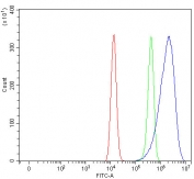 MART-1 Antibody HEL Cell FACS. Flow cytometry testing of fixed and permeabilized human HEL cells with MART-1 antibody at 1ug/million cells (blocked with goat sera); Red=cells alone, Green=isotype control, Blue= MART-1 antibody.