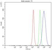NSMCE2 Antibody for FACS. Flow cytometry analysis of NSE2 / NSMCE2 expression in fixed and permeabilized human PC-3 cells using NSMCE2 antibody at 1 ug per million cells. The blue histogram shows a rightward shift compared to the isotype control (green) and unstained cells (red), indicating positive intracellular detection of NSMCE2. Cells were blocked with goat sera prior to antibody incubation to reduce non-specific binding.