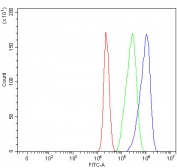 Flow cytometry testing of fixed and permeabilized human MCF7 cells with Myosin IB antibody at 1ug/million cells (blocked with goat sera); Red=cells alone, Green=isotype control, Blue= Myosin IB antibody.