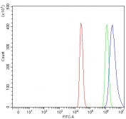 Flow cytometry testing of fixed and permeabilized human 293T cells with NCOA5 antibody at 1ug/million cells (blocked with goat sera); Red=cells alone, Green=isotype control, Blue= NCOA5 antibody.