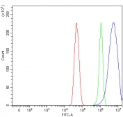 Flow cytometry testing of fixed and permeabilized human U-251 cells with NT5C antibody at 1ug/million cells (blocked with goat sera); Red=cells alone, Green=isotype control, Blue= NT5C antibody.