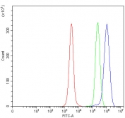 Flow cytometry testing of fixed and permeabilized human JK cells with MFSD13A antibody at 1ug/million cells (blocked with goat sera); Red=cells alone, Green=isotype control, Blue= MFSD13A antibody.