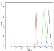 Flow cytometry testing of fixed and permeabilized human ThP-1 cells with FAM55C antibody at 1ug/million cells (blocked with goat sera); Red=cells alone, Green=isotype control, Blue= FAM55C antibody.