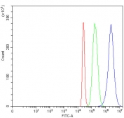Flow cytometry testing of fixed and permeabilized human 293T cells with IDI1 antibody at 1ug/million cells (blocked with goat sera); Red=cells alone, Green=isotype control, Blue= IDI1 antibody.