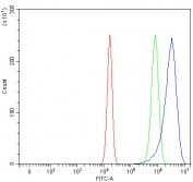LRRN4 Antibody FACS. Flow cytometry testing of fixed and permeabilized human U-2 OS cells with LRRN4 Antibody / Cancer-Associated LRR Protein Antibody at 1ug/million cells demonstrates a distinct positive fluorescence shift (blue) relative to the isotype control (green) and unstained cells (red), supporting intracellular expression of Leucine rich repeat neuronal protein 4 / LRRN4 in tumor-derived cells. Cells were blocked with goat sera prior to staining.