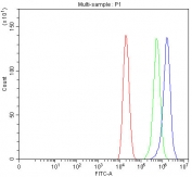 Flow cytometry testing of fixed and permeabilized human Caco-2 cells with IDI2 antibody at 1ug/million cells (blocked with goat sera); Red=cells alone, Green=isotype control, Blue= IDI2 antibody.
