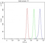PARD6B Antibody FACS. Flow cytometry testing of fixed and permeabilized human MCF7 cells with PARD6B antibody at 1ug/million cells (blocked with goat sera); Red=cells alone, Green=isotype control, Blue= PARD6B antibody.