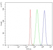 Flow cytometry testing of fixed and permeabilized human SH-SY5Y cells with PAIP1 antibody at 1ug/million cells (blocked with goat sera); Red=cells alone, Green=isotype control, Blue= PAIP1 antibody.