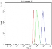 Flow cytometry testing of fixed and permeabilized human SH-SY5Y cells with PCDHA8 antibody at 1ug/million cells (blocked with goat sera); Red=cells alone, Green=isotype control, Blue= PCDHA8 antibody.