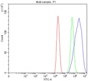 Flow cytometry testing of fixed and permeabilized human Caco-2 cells with EIF3B antibody at 1ug/million cells (blocked with goat sera); Red=cells alone, Green=isotype control, Blue= EIF3B antibody.