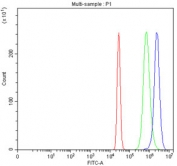 Flow cytometry testing of fixed and permeabilized human HepG2 cells with HSD17B13 antibody at 1ug/million cells (blocked with goat sera); Red=cells alone, Green=isotype control, Blue= HSD17B13 antibody.