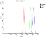 Flow cytometry testing of fixed and permeabilized human MCF7 cells with INTU antibody at 1ug/million cells (blocked with goat sera); Red=cells alone, Green=isotype control, Blue= INTU antibody.