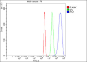 Flow cytometry testing of fixed human HepG2 cells with PGC antibody at 1ug/million cells (blocked with goat sera); Red=cells alone, Green=isotype control, Blue= PGC antibody.