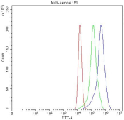 Flow cytometry testing of fixed and permeabilized human A549 cells with ME1 antibody at 1ug/million cells (blocked with goat sera); Red=cells alone, Green=isotype control, Blue= ME1 antibody.