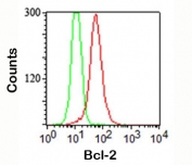 Bcl-2 Antibody FACS. Flow cytometry staining (intracellular) of human Jurkat cells using Bcl-2 antibody (red) and isotype control (green).