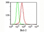 FACS staining (intracellular) of Jurkat cells using Bcl-2 antibody (clone 124, red) and isotype control antibody (green).