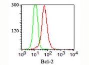 Bcl2 antibody flow cytometry