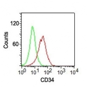 CD34 Antibody for FACS CF488. Flow cytometry analysis of CD34 surface expression in human KG-1 cells using a Green Channel Detection Antibody, clone ICO-115 conjugated to CF488, shows a clear right-shifted population (red) compared to isotype control (green), indicating specific detection of CD34-positive cells with strong signal in the green fluorescence channel. The distinct population separation supports accurate gating of leukemia-associated blast populations and highlights the antibodyâs suitability for flexible panel design in multiparameter flow cytometry.