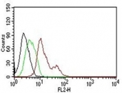 ER Antibody PE Conjugate FACS. Flow cytometry testing of human MCF-7:  Black=cells alone; Green=isotype control; Red= PE conjugated Estrogen Receptor antibody.