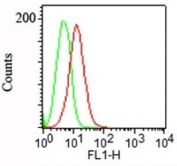 FACS staining of human NCCIT cells with Podocalyxin antibody (clone 3D3, red) and an isotype control antibody (green).