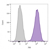 Flow cytometry testing of live human Jurkat cells with CD45 antibody cocktail (clone 2B11 + PD7/26); Gray=isotype control, Purple= CD45 antibody cocktail.