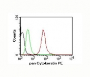 Pan Cytokeratin Antibody PE MCF-7 cells FACS. Flow cytometry analysis of cytokeratin expression in permeabilized human MCF-7 cells using Pan Cytokeratin antibody clone AE1/AE3 in a PE-conjugated format. The antibody-stained population (red) shows a pronounced right-shift compared to isotype control (green) and unstained cells (black), reflecting strong intracellular cytokeratin detection. The high-intensity PE signal enables clear population separation and supports sensitive identification of epithelial cells in this epithelial cell line.