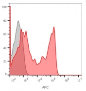 CD8A Antibody for FACS - Human lymphocyte gating. Flow cytometry analysis of CD8 alpha (CD8A) in lymphocyte-gated human PBMC shows a well-resolved right-shifted population (red) relative to unstained cells (gray), consistent with cell surface expression on cytotoxic T lymphocytes and enabling clear separation of CD8-positive cells for accurate gating and immunophenotyping workflows (clone C8/1035).