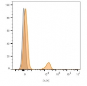 Flow cytometry analysis of CD19 Antibody B-lymphocyte marker (clone CVID3/155) in human peripheral blood mononuclear cells. Lymphocyte-gated human PBMCs show a distinct right-shifted population in the R-PE channel (orange histogram) corresponding to CD19-positive B cells, while unstained control cells (gray histogram) demonstrate baseline fluorescence. The clear separation between unstained and antibody-stained populations confirms specific detection of CD19 (Cluster of Differentiation 19) on circulating B lymphocytes.