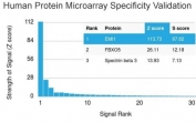 EMI1 Antibody Microarray Specificity Validation. Analysis of a HuProt(TM) human protein microarray containing more than 19,000 full-length human proteins using clone EMI1/1176 demonstrates highly selective binding to Early mitotic inhibitor 1 / FBXO5 with minimal off-target reactivity detected across the tested human proteome. The strong enrichment of EMI1 signal relative to lower-ranking proteins supports the specificity of this monoclonal antibody for studies involving mitotic checkpoint regulation, APC/C-associated signaling, and proliferative cell cycle control.<BR>Z- and S-score interpretation: The Z-score represents the signal intensity generated when an antibody, together with a fluorescently labeled secondary antibody, binds to a specific protein target on the HuProt(TM) array. Z-scores are expressed as standard deviations above the mean signal intensity of all proteins present on the array. Proteins are ranked according to descending Z-score values, and the S-score represents the difference in Z-score between sequentially ranked proteins. The S-score therefore reflects the relative specificity of an antibody for its intended target compared to other proteins represented on the array.