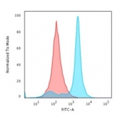 Flow cytometry testing of permeabilized human HeLa cells with Histone H1 antibody (clone AE-4); Red=isotype control, Blue= Histone antibody.