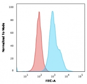 HLA-DRB1 Antibody for FACS SPM423 flow cytometry analysis of human cells. Flow cytometric analysis of human Raji cells using HLA-DRB1 Antibody for FACS clone SPM423 demonstrates strong surface staining consistent with expression of the HLA-DR beta chain / HLA-DRB1 on antigen-presenting B lymphocytes. Cells were stained with the mouse monoclonal antibody followed by fluorescent detection and analyzed by flow cytometry. The blue histogram represents cells labeled with the HLA-DRB1 antibody, showing a clear rightward fluorescence shift relative to the red isotype control, confirming specific detection of HLA-DRB1 surface expression on Raji cells.