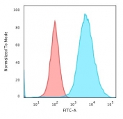 Flow cytometry testing of methanol-fixed human MCF7 cells with Cytokeratin 19 antibody (clone KRT19/799); Red=isotype control, Blue= Cytokeratin 19 antibody.