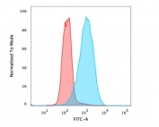 Flow cytometry testing of PFA-fixed human MCF7 cells with unlabeled EpCAM antibody (clone EGP40/826) + CF488-labeled secondary; Red=isotype control, Blue= EpCAM antibody.