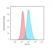 Nucleolin Antibody for FACS flow cytometry analysis of human K562 cells. PFA-fixed human K562 cells were stained with Nucleolin Antibody for FACS (clones 364-5 and NCL/902). The fluorescence histogram (blue) shows positive staining compared with the isotype control (red), demonstrating detection of intracellular Nucleolin / NCL by flow cytometry following fixation and permeabilization.
