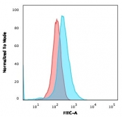 CD1A Antibody for FACS Clone CBT6. Flow cytometry analysis of CD1A / CD1a expression in human Molt-4 cells using CD1A Antibody for FACS Clone CBT6. The histogram shows a clear rightward fluorescence shift of CD1a-positive cells (blue) compared to the isotype control (red), supporting specific cell surface detection. The staining pattern enables detailed immune phenotyping, including evaluation of CD1a-positive subsets and integration into multiparameter panels for marker co-expression and population profiling.