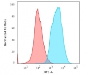Pan Cytokeratin Antibody HeLa cells FACS. Flow cytometry analysis of cytokeratin expression in permeabilized human HeLa cells using Pan Cytokeratin antibody clone PAN-CK. The antibody-stained population (blue) shows a clear right-shift compared to isotype control (red), indicating robust intracellular detection of cytokeratin proteins. The distinct separation supports reliable identification of epithelial cells and confirms strong cytokeratin expression in this epithelial cell line.