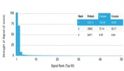 Analysis of HuProt(TM) microarray containing more than 19,000 full-length human proteins using CD11c antibody (clone ITGAX/1284). These results demonstrate the foremost specificity of the ITGAX/1284 mAb. Z- and S- score: The Z-score represents the strength of a signal that an antibody (in combination with a fluorescently-tagged anti-IgG secondary Ab) produces when binding to a particular protein on the HuProt(TM) array. Z-scores are described in units of standard deviations (SD's) above the mean value of all signals generated on that array. If the targets on the HuProt(TM) are arranged in descending order of the Z-score, the S-score is the difference (also in units of SD's) between the Z-scores. The S-score therefore represents the relative target specificity of an Ab to its intended target.